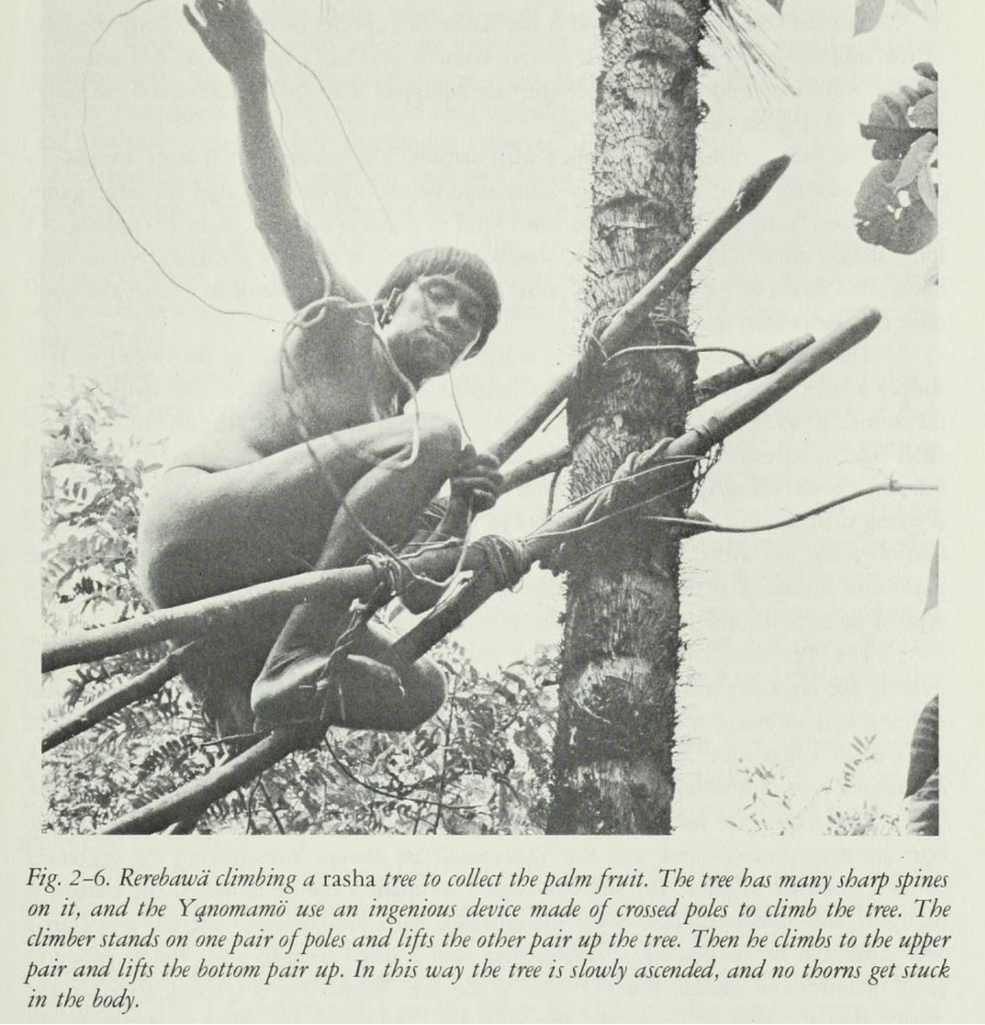 Yanomamo攀登