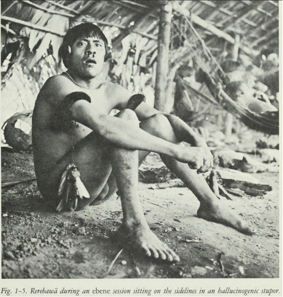 Yanomamo taking ebene